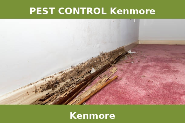 PEST CONTROL Kenmore